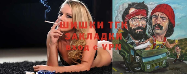 прущие грибы Аркадак