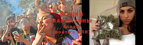 прущие грибы Аркадак
