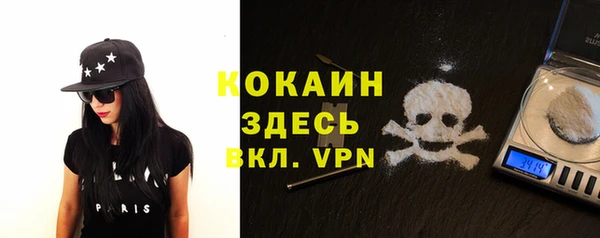 тгк Арсеньев
