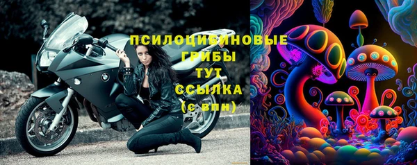 тгк Арсеньев