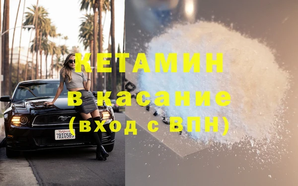 прущие грибы Аркадак