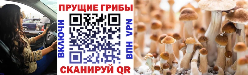 гидра вход  Полярные Зори  Псилоцибиновые грибы Magic Shrooms 
